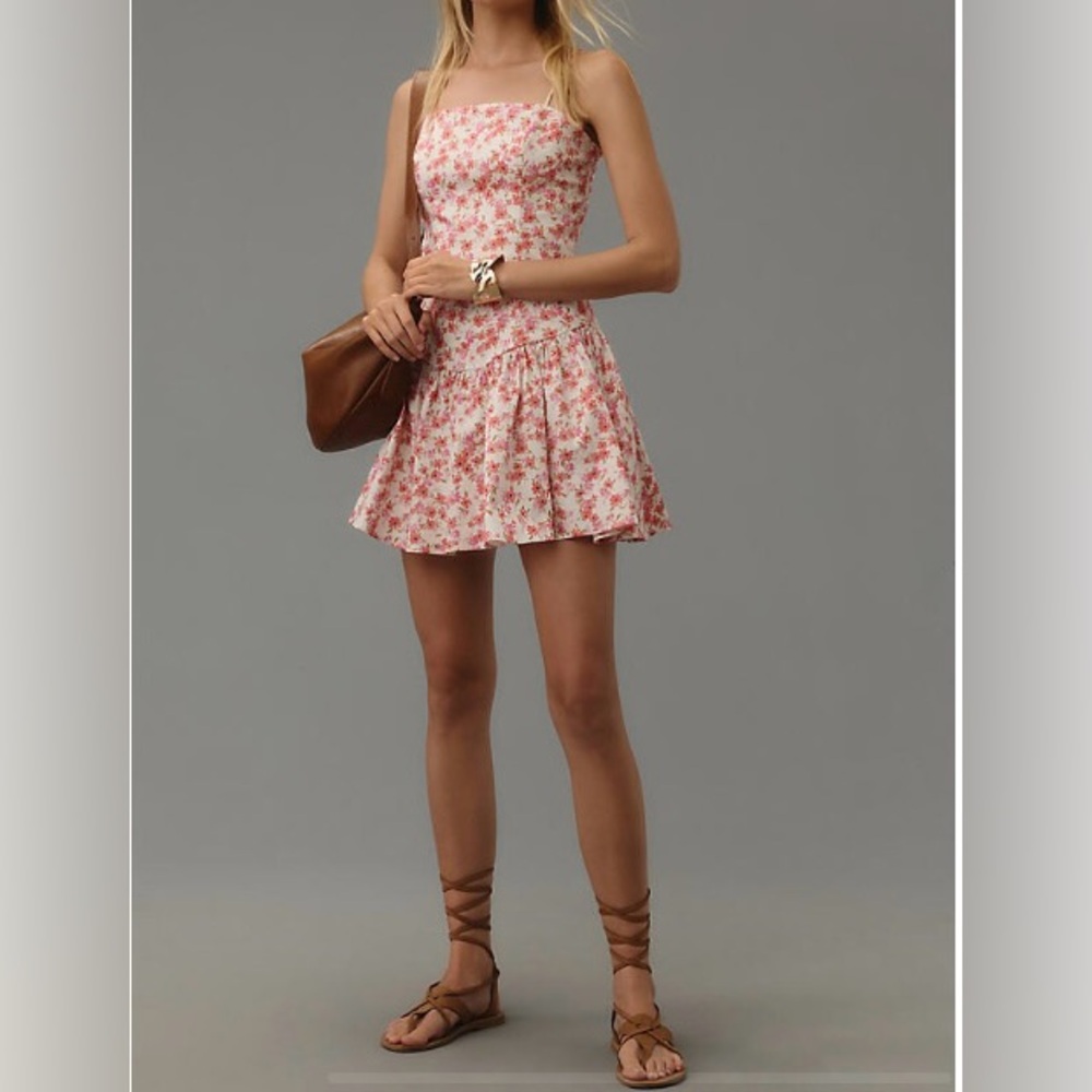 NWOT - Anthropologie/Maeve Floral Drop Waist Mini Dress